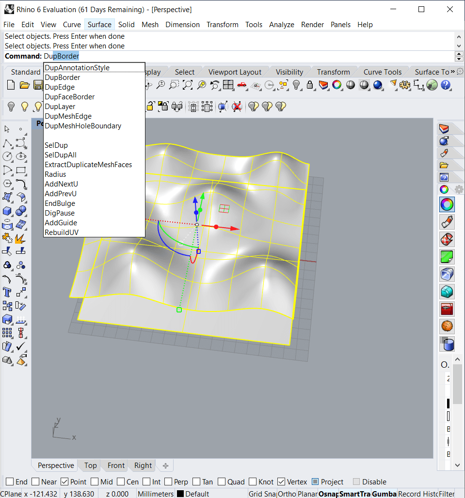 The duplicated borders of the two surfaces shown as curves.